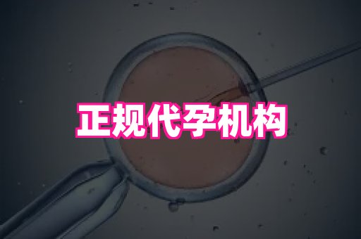 福建助孕网站 3